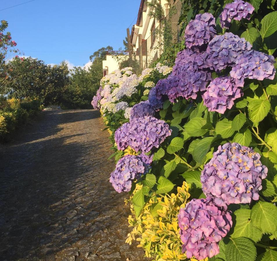Villa Bouro - Breathtaking Scenery Near Geres Terras de Bouro Exterior foto